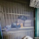 증산로19길 이미지