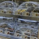 병아리김밥광명 | 광명 새로생긴 분식집 '병아리김밥' 솔직 후기!