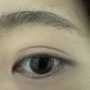 5·6호(2) | 시스터앤 스틱섀도우 1,2,5,6호 후기