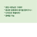 엘캘리플라워
