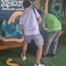 나비농장2 이미지