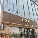 천해축산(2) | 송도한우맛집 점심 메뉴 규카츠 스키야키 우루스