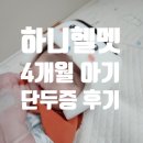 하니헬멧 교정 후기, 4개월 아이 단두증 한헬스케어 동탄 (+10만원 할인 추천인 코드)