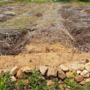 사남매농장2 이미지