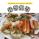 [경북/영덕] 축산항 수율좋은 대게맛집 “융창횟집”