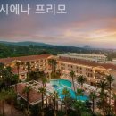 호텔프리모 이미지