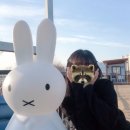 [카페후기]카페 예담더갤러리 내돈내산 후기 - 춘천/강대후문/이색카페/티세트