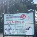 가든블루 | 강릉 동화가든 짬뽕순두부 짬순이 맛집 후기 | 블루리본 강릉 대표 맛집