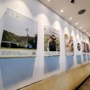 곤드래 | 영월애 곤드래 정식 후기｜고등어·제육볶음·꼬막무침으로 완성되는 한식 정식 구성