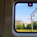 신촌라싸 관광호텔 | 강릉관광호텔 조식 디럭스 트리플룸 후기 강릉 중앙시장 가까운 뚜벅이여행숙소 추천