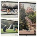 서울특별시중부공원여가센터 티스토리
