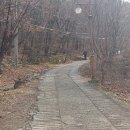 앞산강아지 이미지