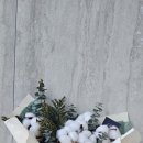 탄생화 | 원모먼트 목화 탄생화 꽃다발 후기 12월 생일선물 엄마선물 추천