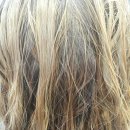 벨라헤어 이미지