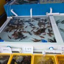 평원4길 1 이미지