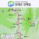 2019-주115 Daum카페