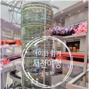 동화숲민박 | 충남 서천 아이와 함께 1박 2일 여행기(씨큐리움, 서천 가족숙소, 맛집, 갯벌 후기)