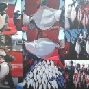 동양낚시 이미지