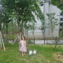 검단 2지구 2호 어린이 공원 이미지