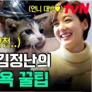 루루 반려견 이미지