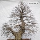 소사농원 이미지