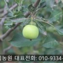 수림꽃농원 이미지