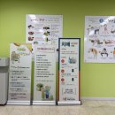 충청북도 청주시 흥덕구 치매안심센터 이미지