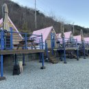 스테이남천 | 직장인 퇴근후 즐기는 애견동반 경산캠프닉 스테이남천