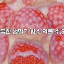 빙달 대학로점 이미지