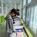 장성중학교 이미지