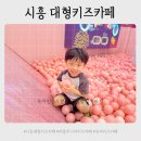 청수노래방 | 시흥 대형키즈카페 퍼플주니어 인천 서창점 5살 후기