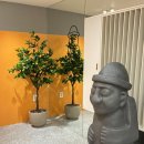 돌하르방 | 제주도기념품 오늘제주 돌하르방 마들렌 후기