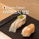 도쿄스시 | 시부야 스시 맛집 | 도쿄 현지 오마카세 후기