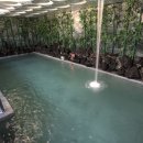 장안온천 이미지