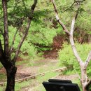 운중로225번길(판교공원로) 이미지