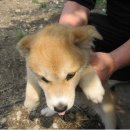 영림축산 이미지