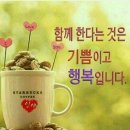 만2세 애기나리반 매실 거르기,만1세토끼풀반 매실액 거르기,만2세의 하루일과, 만1세의 하루일과,김장배추밭,김장무밭,절지동물,곤충관찰, 이미지