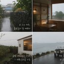 제주기억 | 제주 한달살기 후기 조용한 바다와 감성 숙소 덕분에 오래 기억남는 제주 여행
