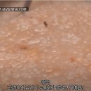 진아호프 이미지