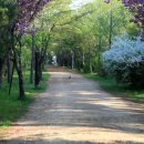 해운대해변로 이미지