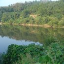 연정1리 이미지