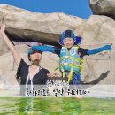 블루25 워터파크 (삼락야외수영장) | 한화리조트 설악 워터피아 : 아이랑 겨울에도 따듯하게 놀기 좋은 속초 워터파크