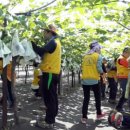 김주철농장 이미지