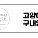 다산마리동물병원 이미지