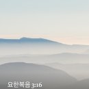 [중보기도요청] 2025년2월4일(화) 이미지