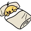 감성피티