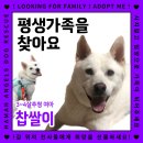 찹쌀/여아/3-4살추정 이미지