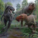 EOS PC ZONE 이미지