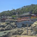 해동용궁사진입로입구 | 부산 해동용궁사 아름다운 바다위 사찰 후기 주차팁과 즐길거리까지