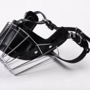 브리더독 이미지